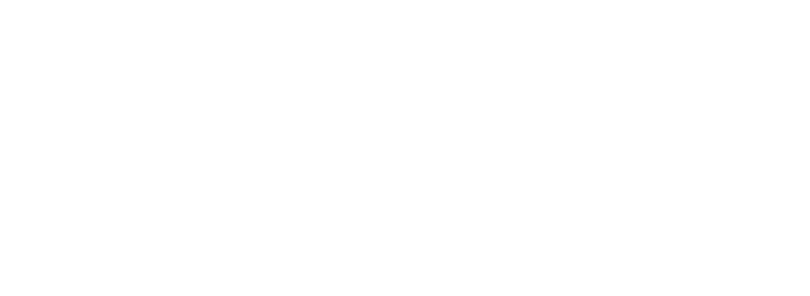 Evondos_Logo_white